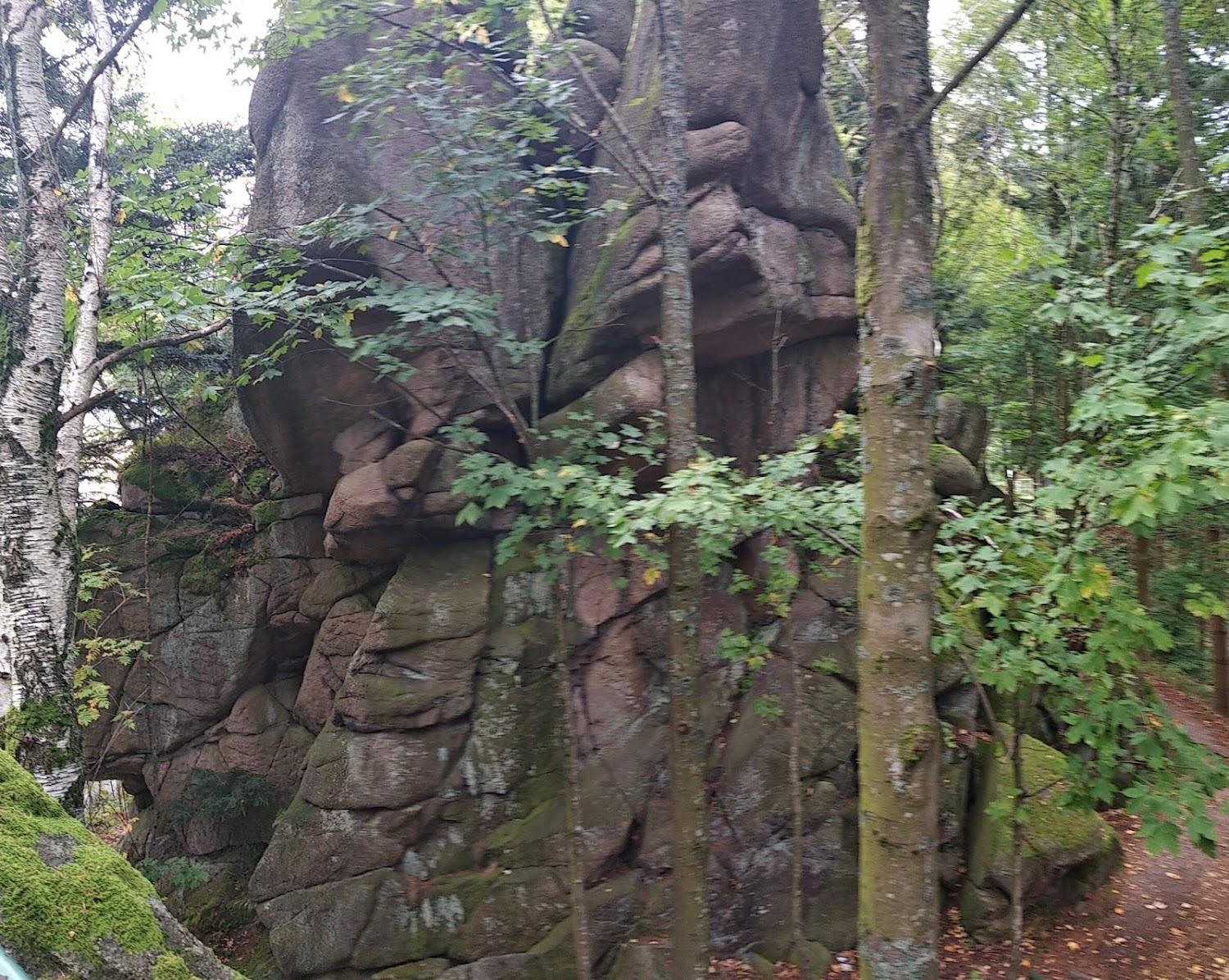 Cover Image for Eventhaus Wiedenfelsen