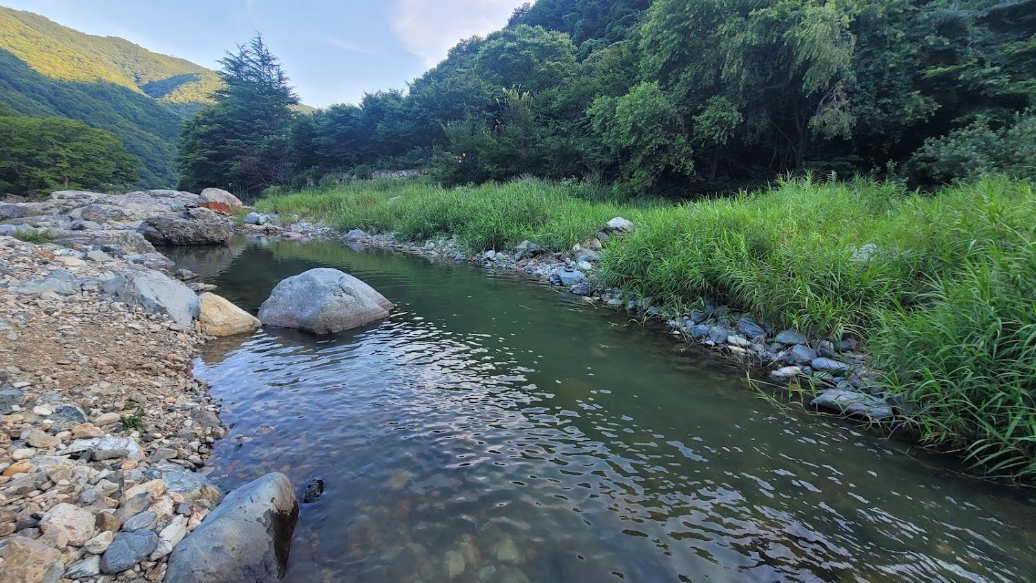 Cover Image for 파라다이스 펜션