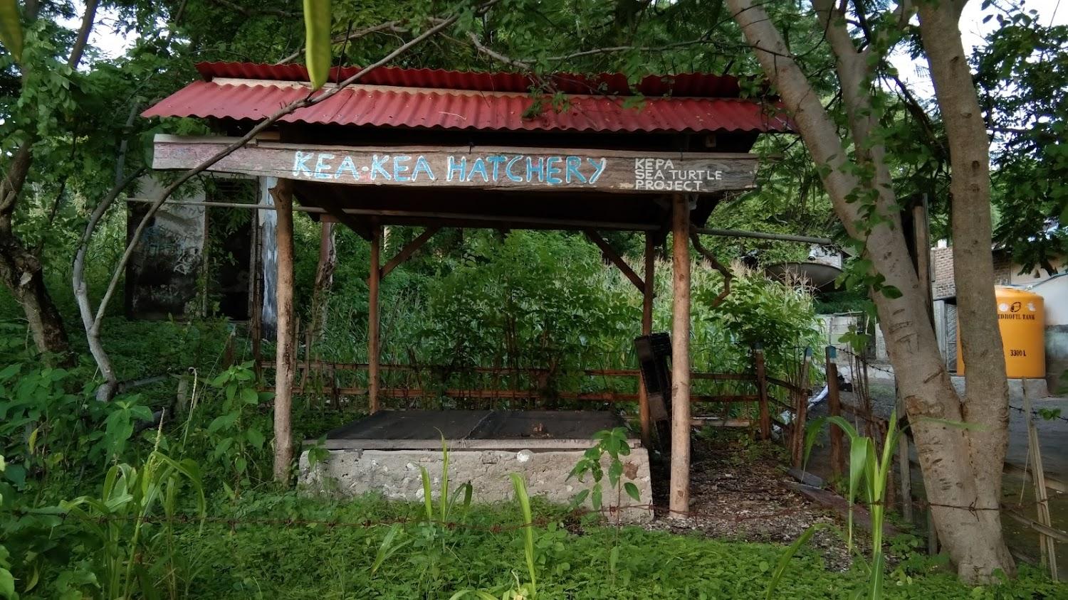 Cover Image for Marangki_kepa