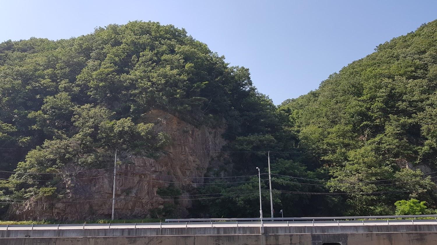 Cover Image for 화이트하우스