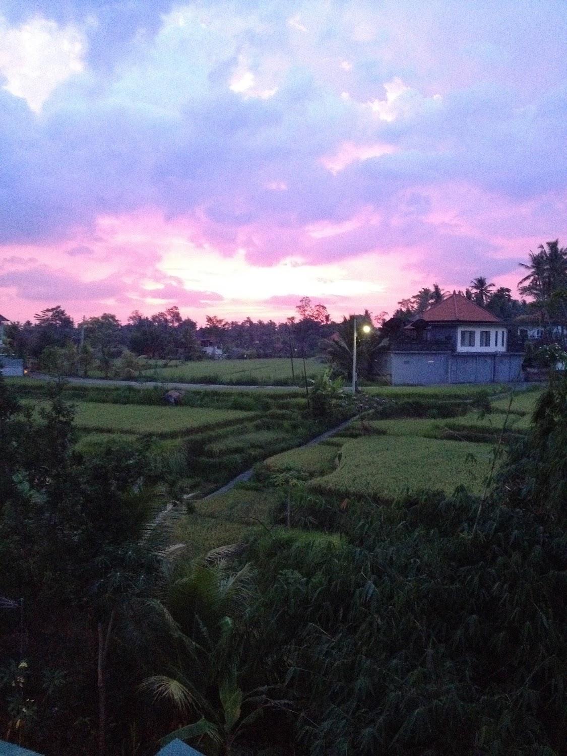 Cover Image for Sariya homestay