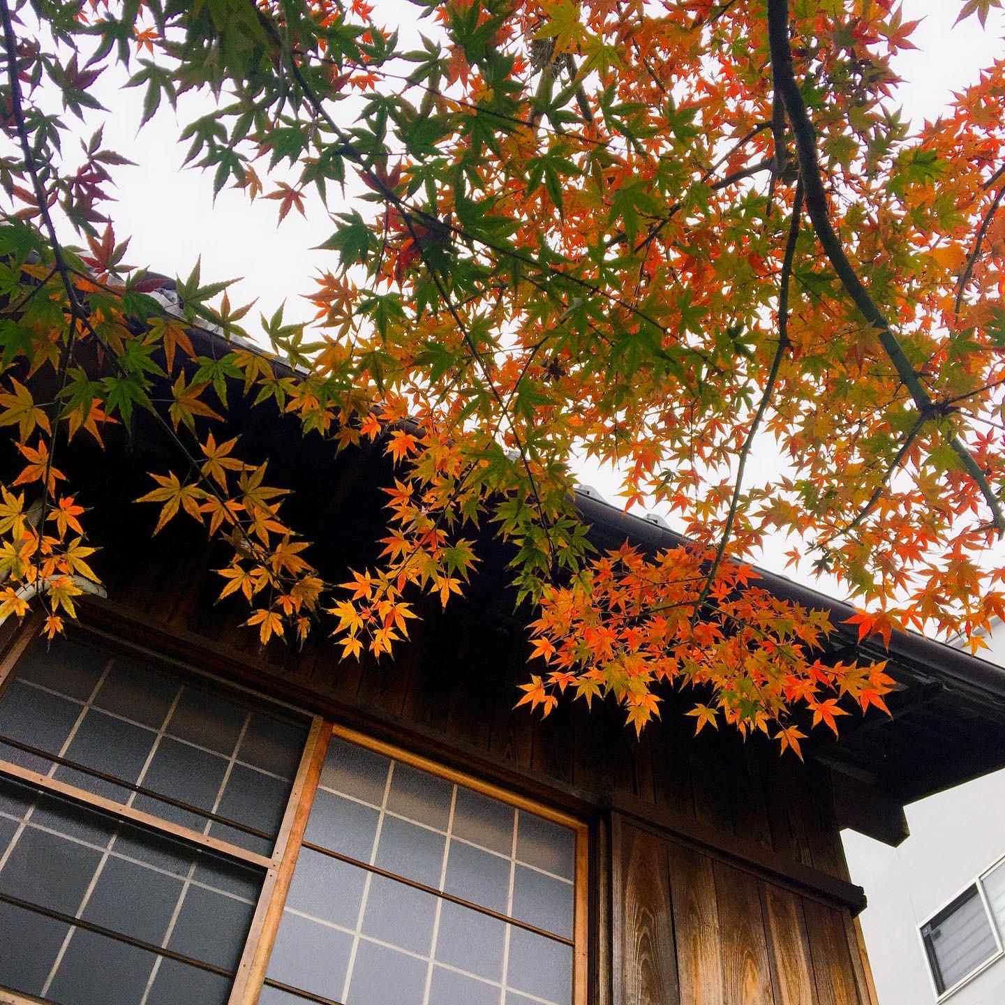 Cover Image for Guest House KIOTO