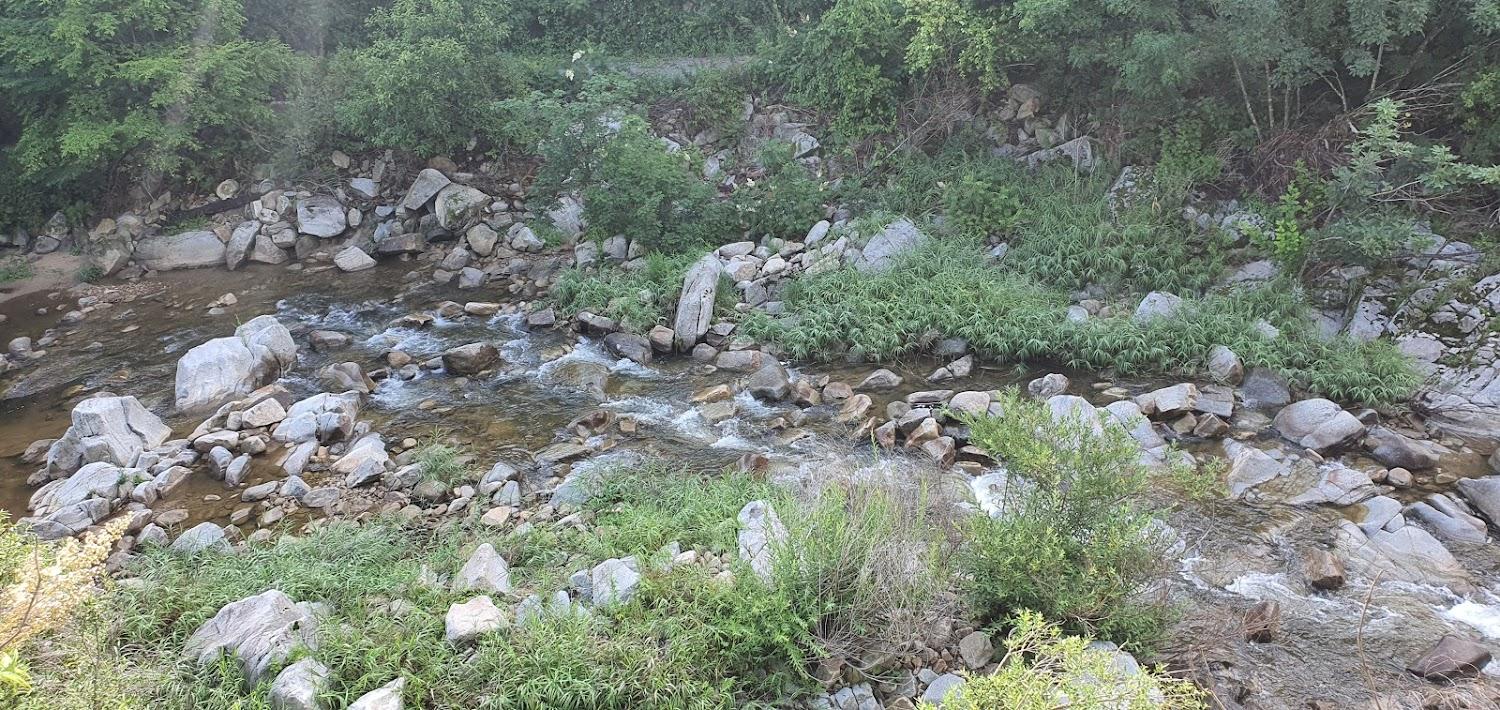 Cover Image for 대관령품안에펜션