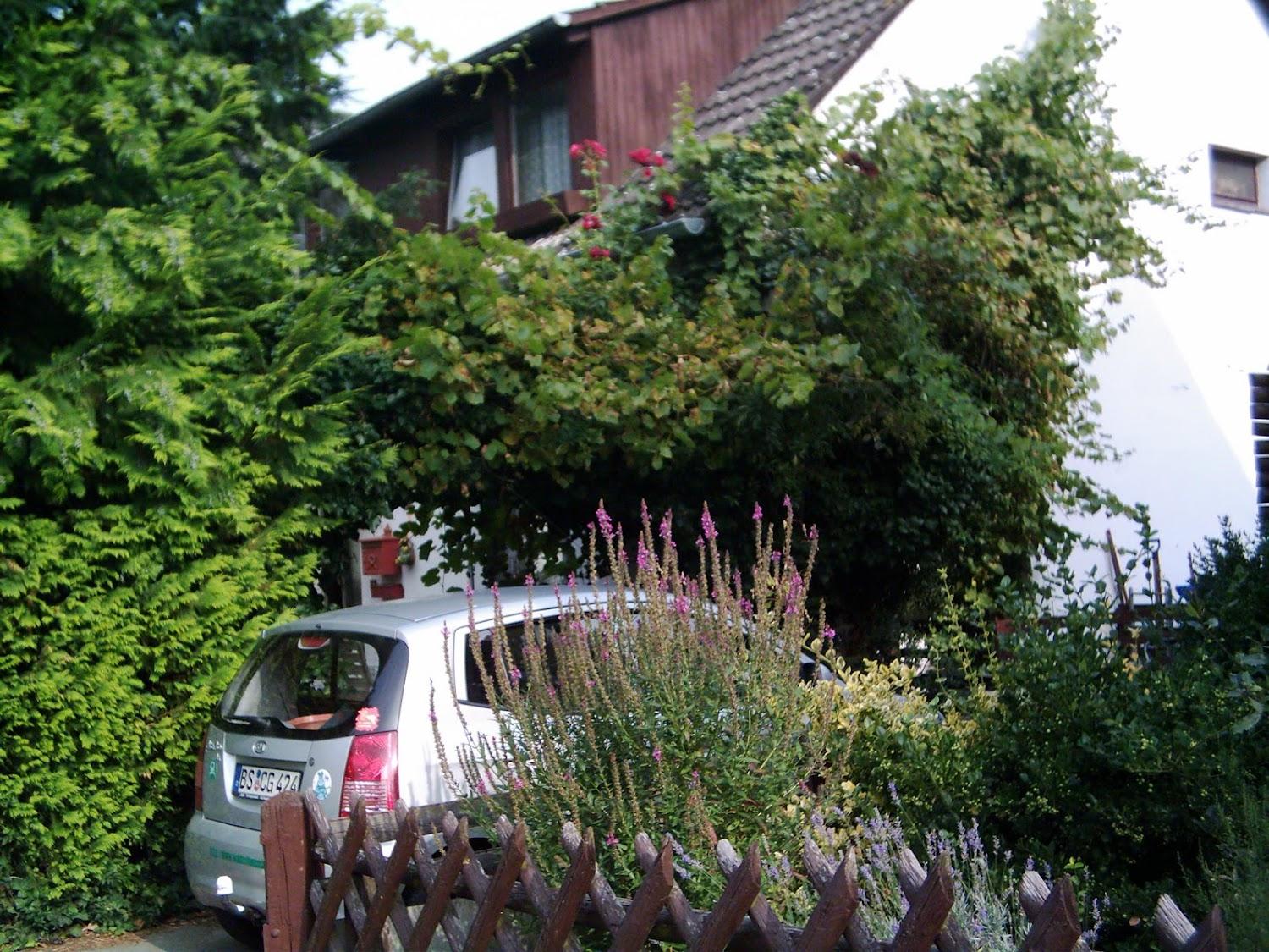 Cover Image for Waldschlösschen