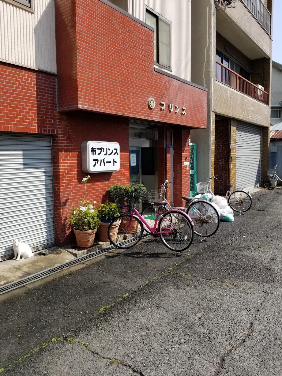 Cover Image for 布プリンス