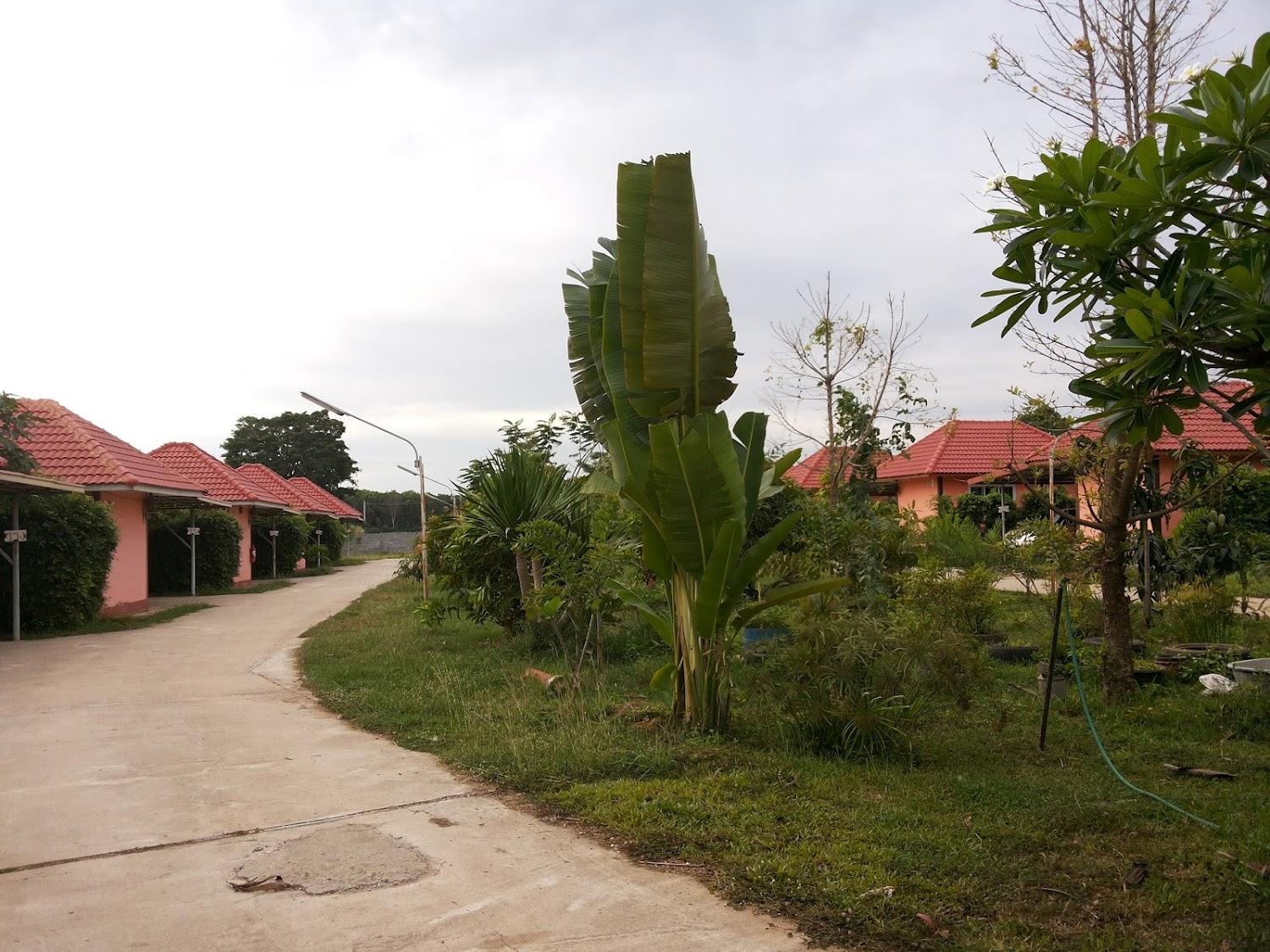 Cover Image for สมหวัง รีสอร์ท