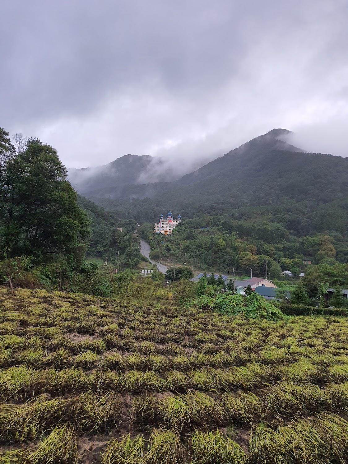 Cover Image for 킹덤