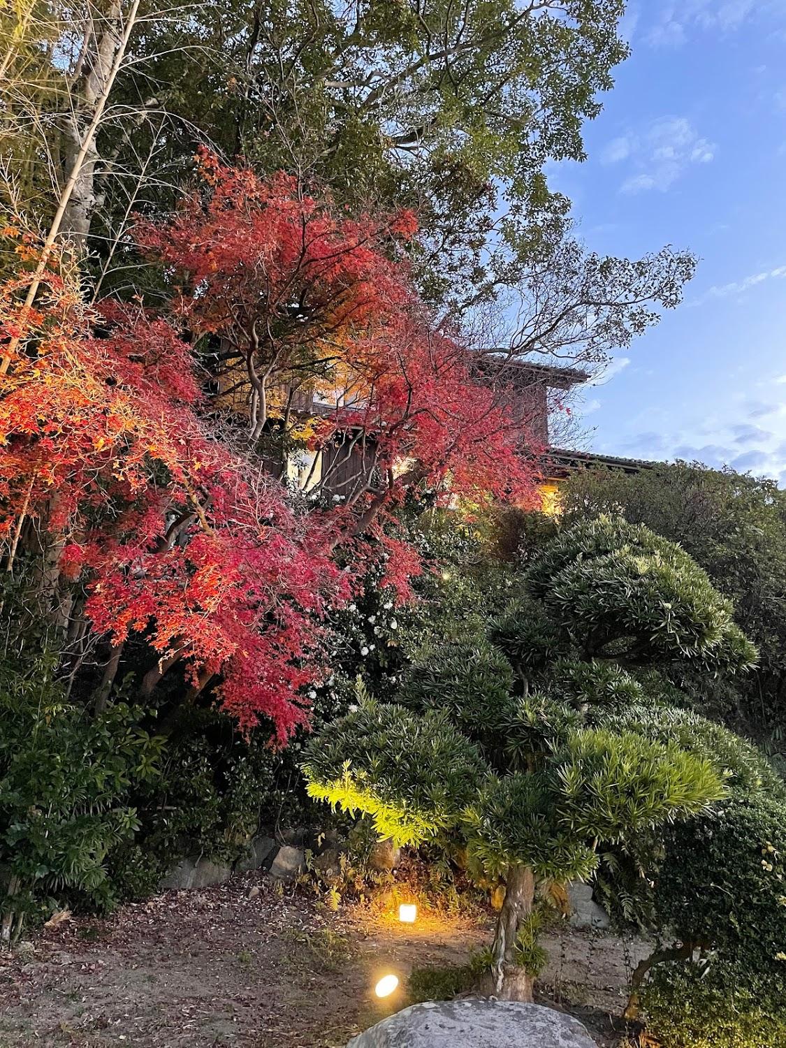 Cover Image for 淡路島の一棟貸し貸別荘｜古淡 KOTAN
