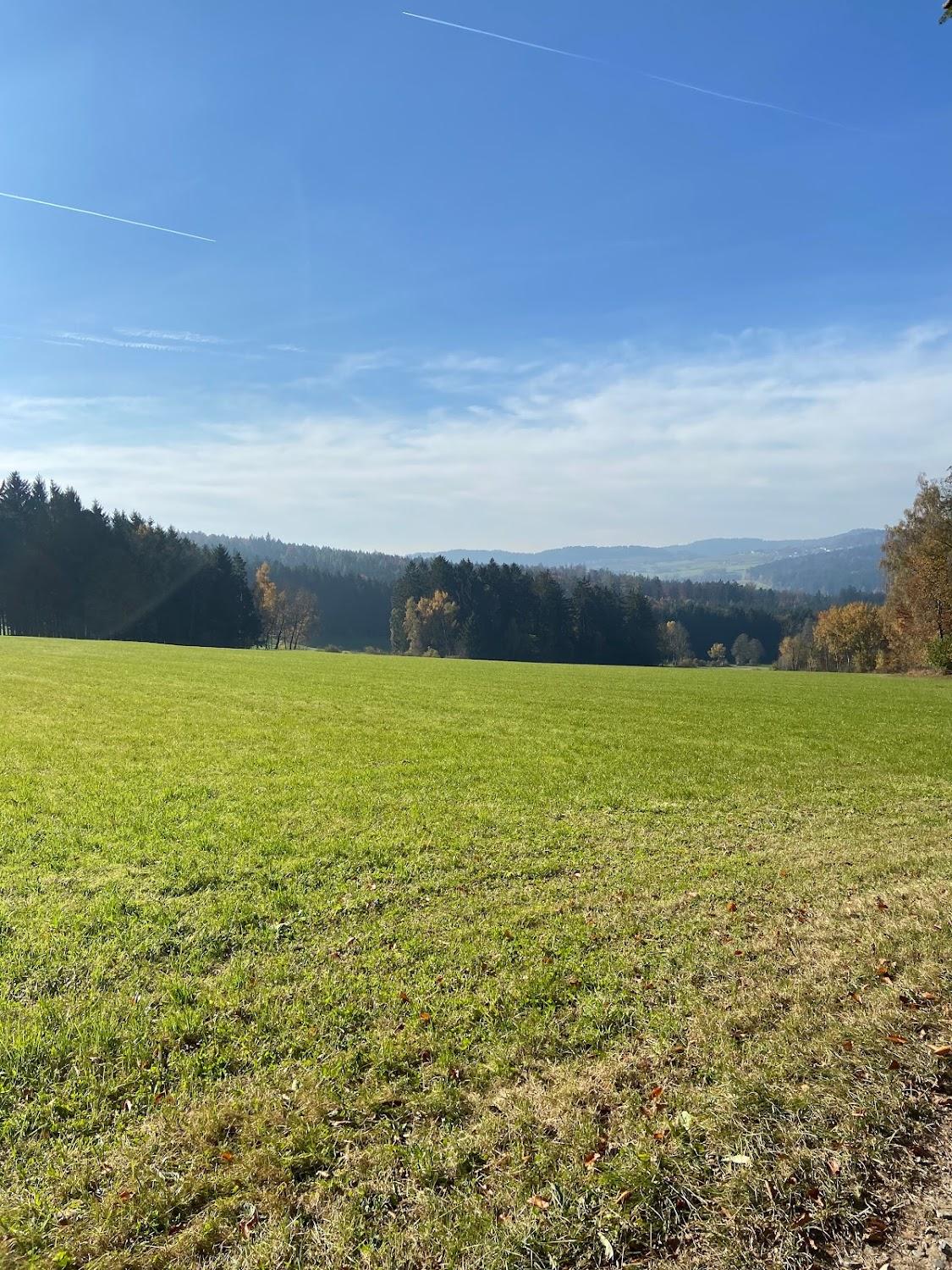 Cover Image for Gasthaus Hausner
