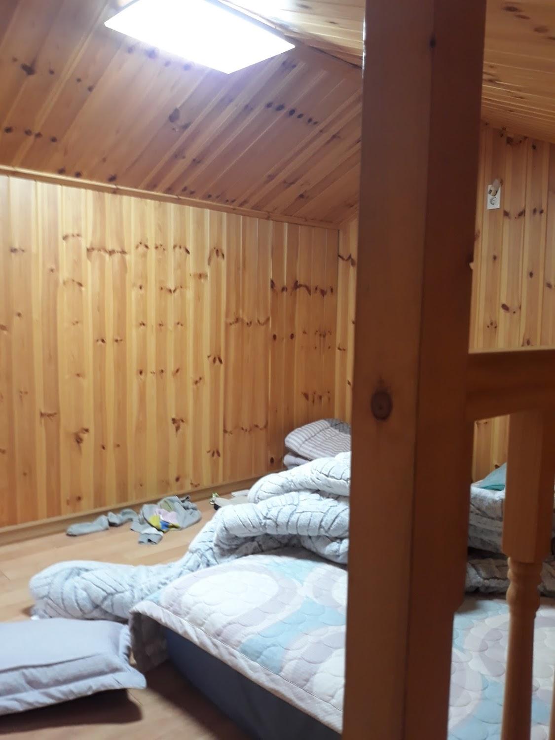 Cover Image for 수달민박