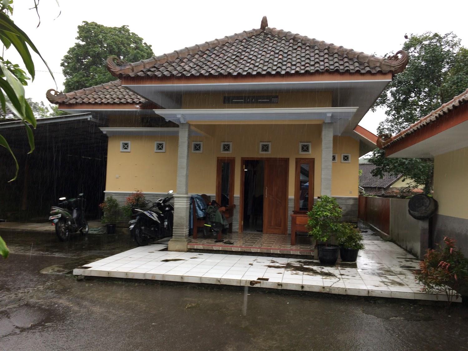 Cover Image for Mentorogo