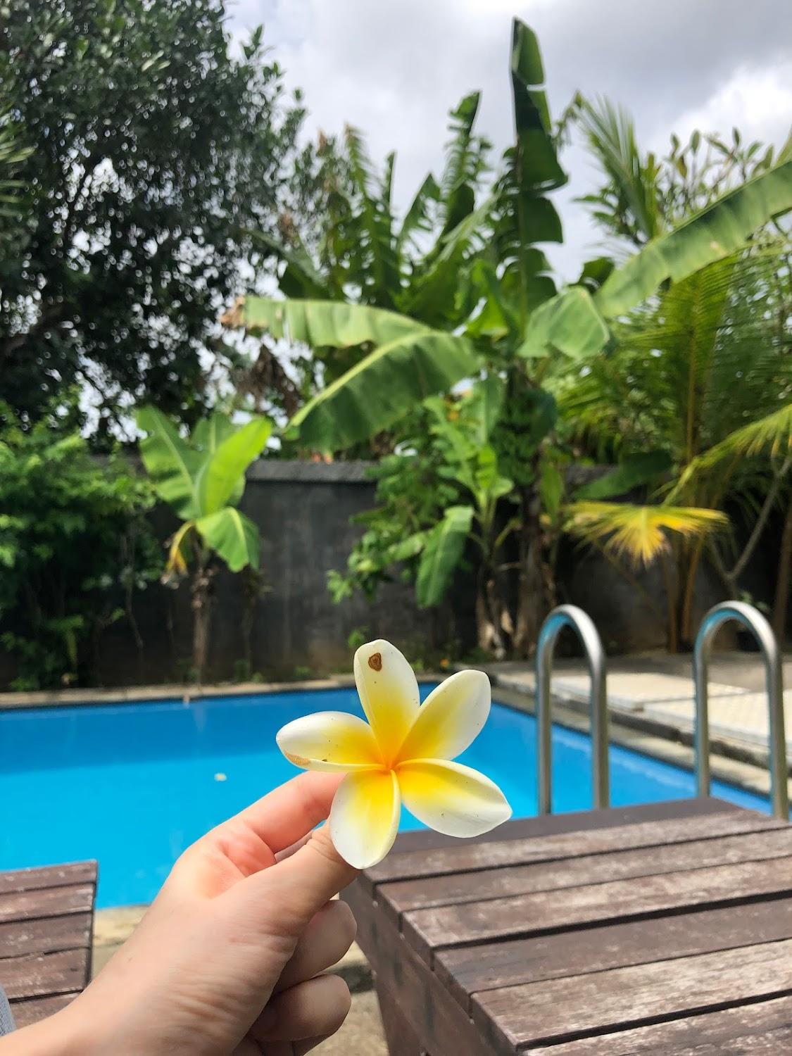 Cover Image for Willy Homestay