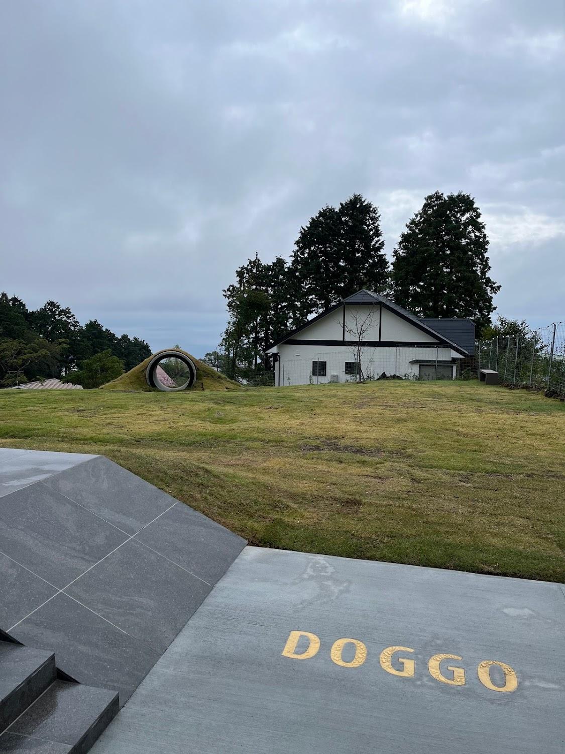 Cover Image for ドッゴ伊豆 Doggo伊豆