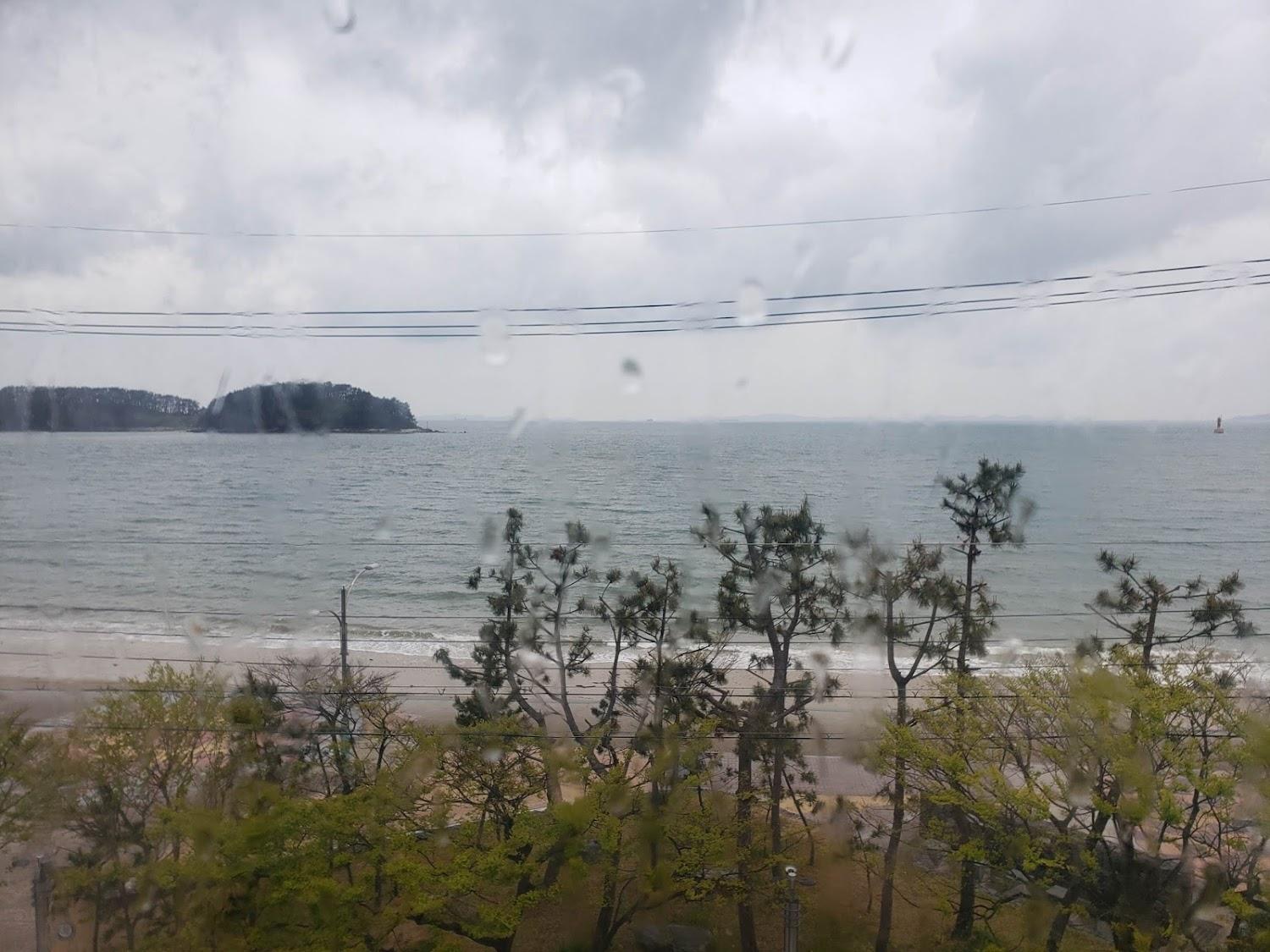 Cover Image for 시사이드모텔