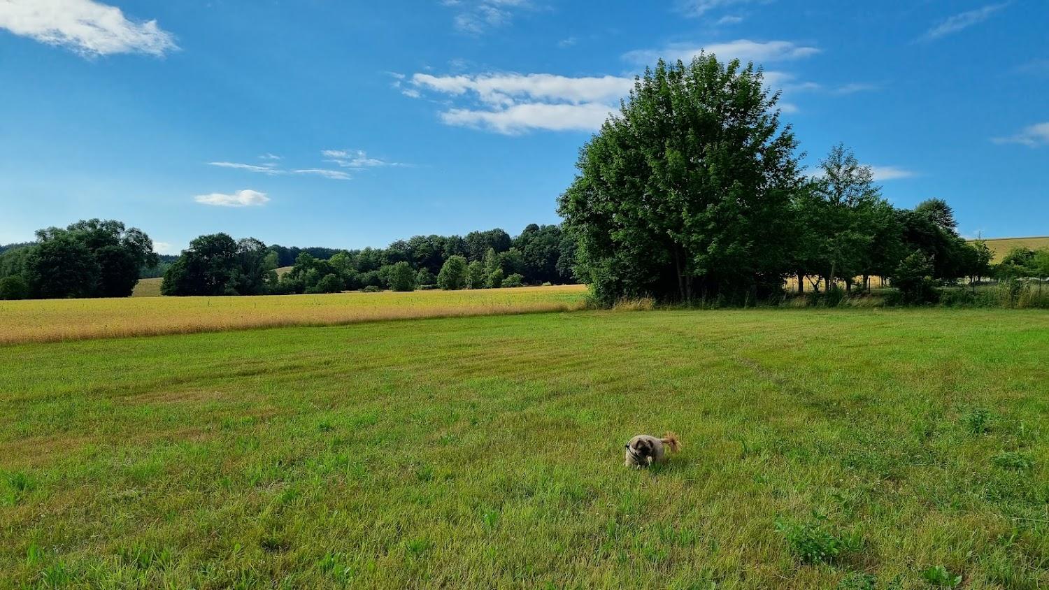 Cover Image for Pension Kunert