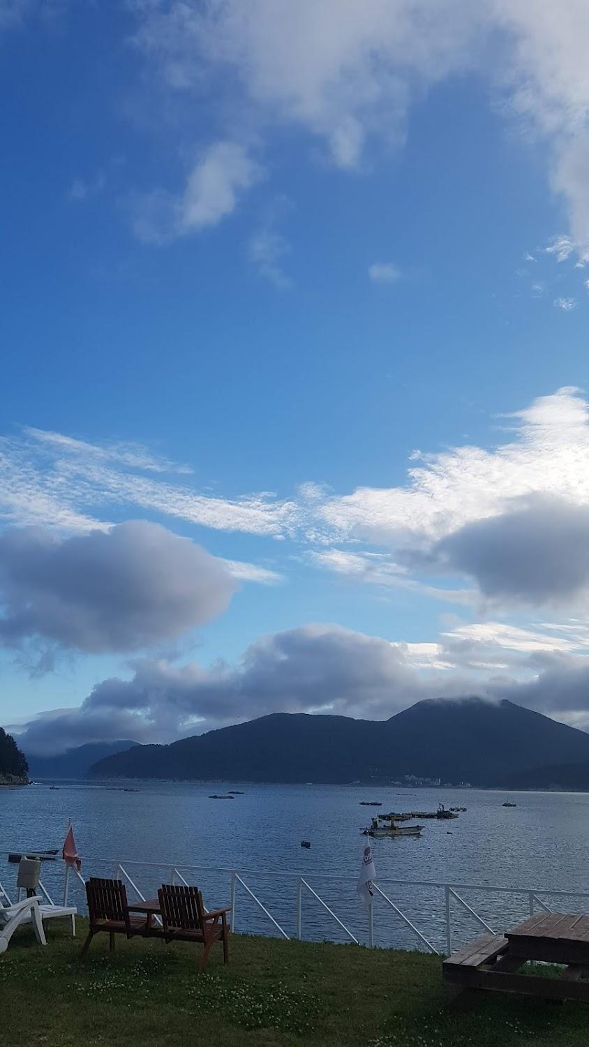 Cover Image for Vitamin Sea Pension