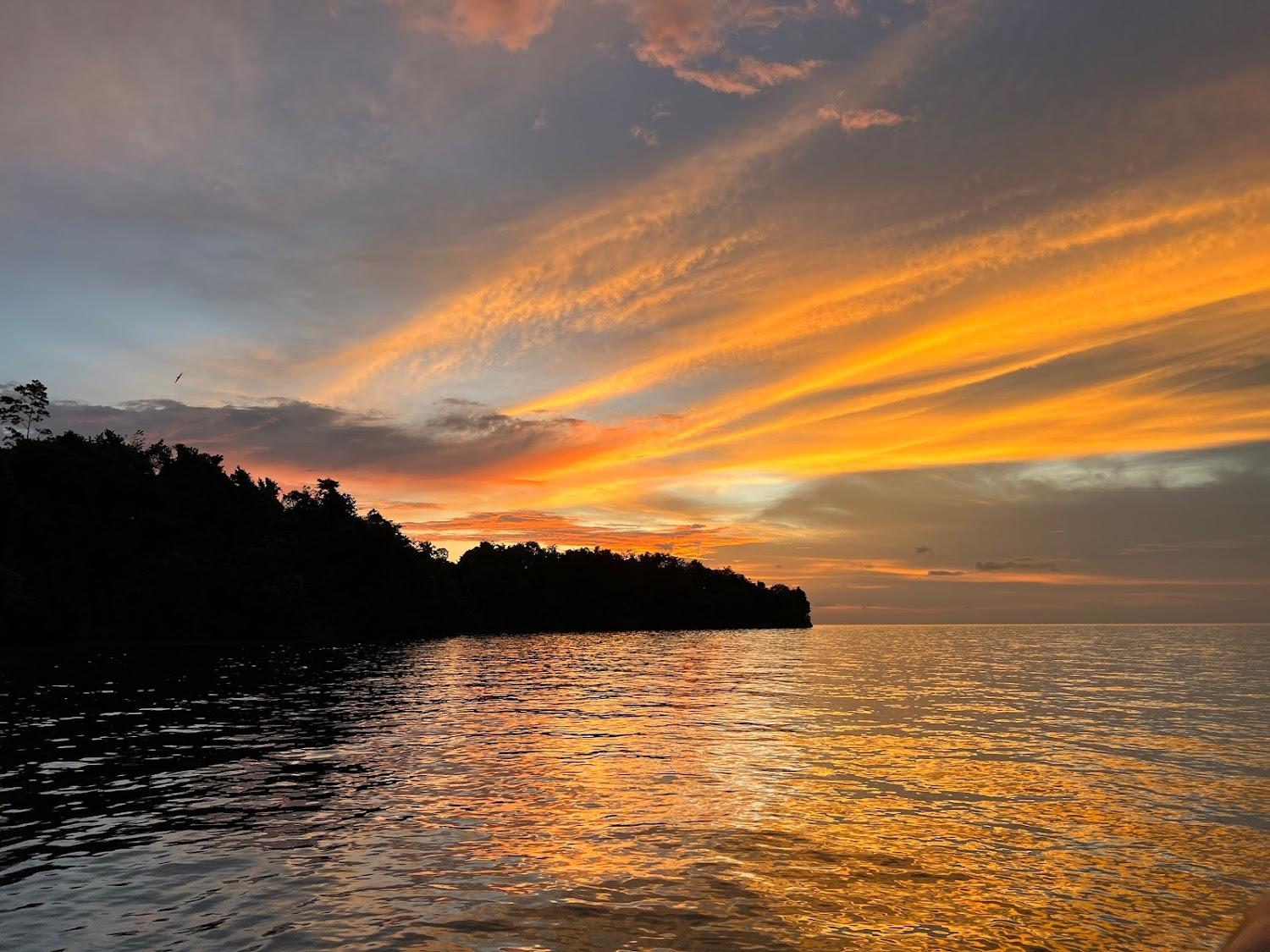 Cover Image for Poki Poki Cottages