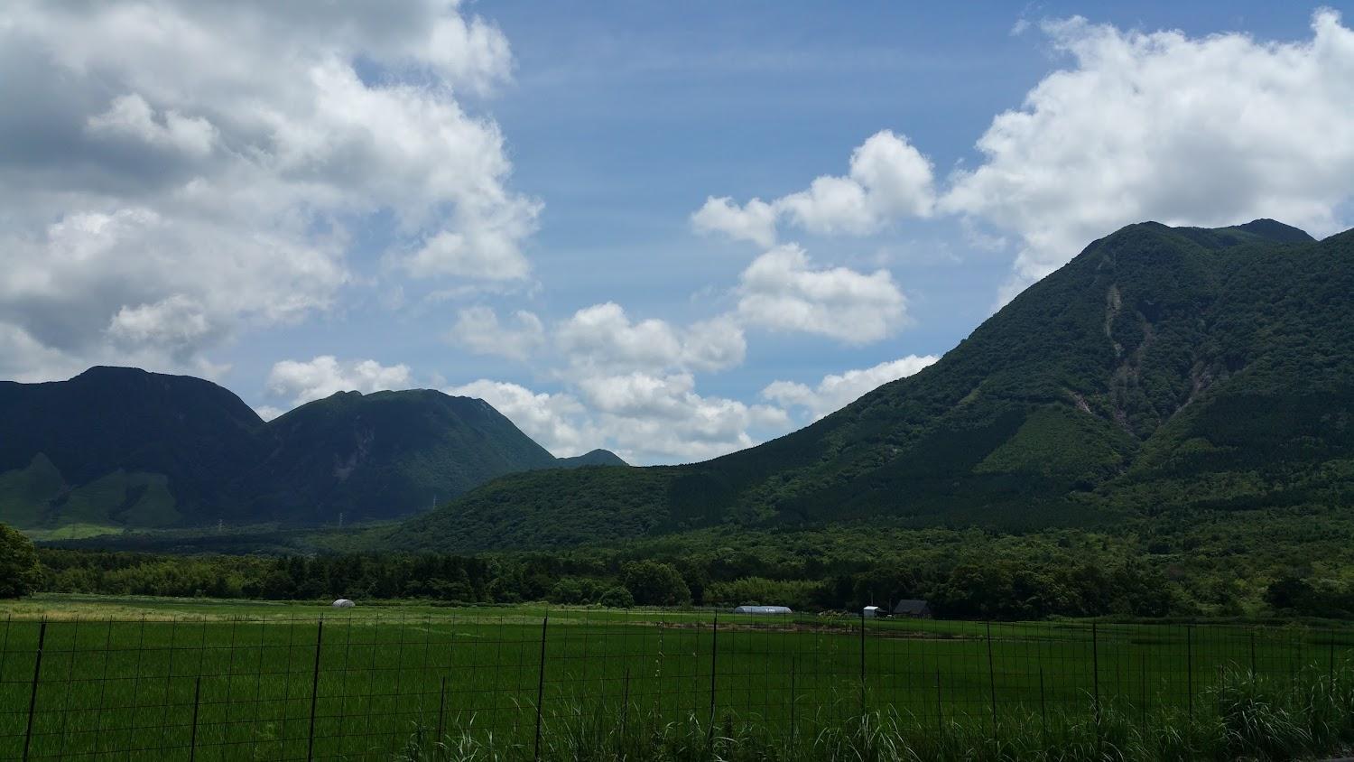 Cover Image for 自然食ゆうど