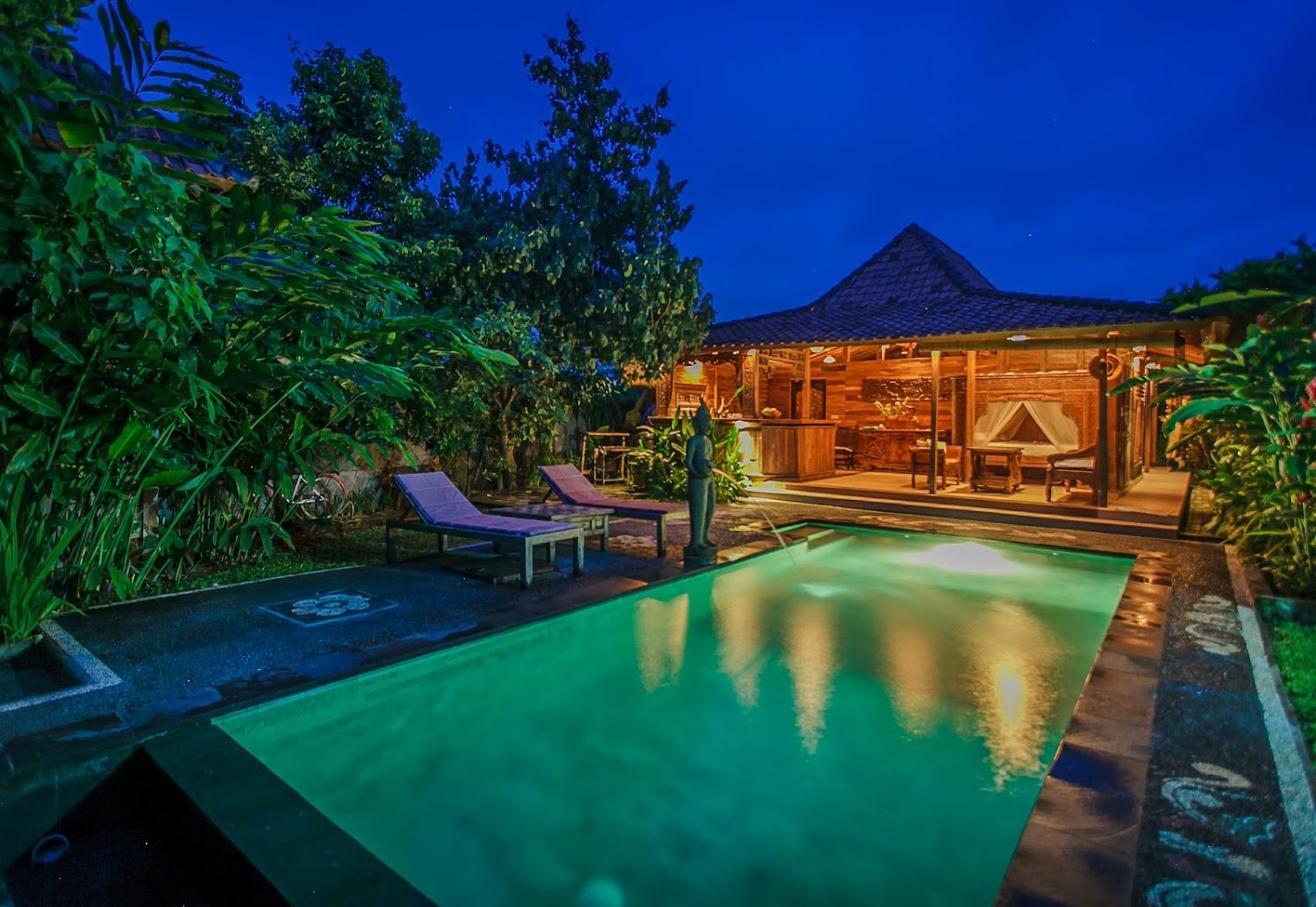 Cover Image for Swallow Guesthouse Bali