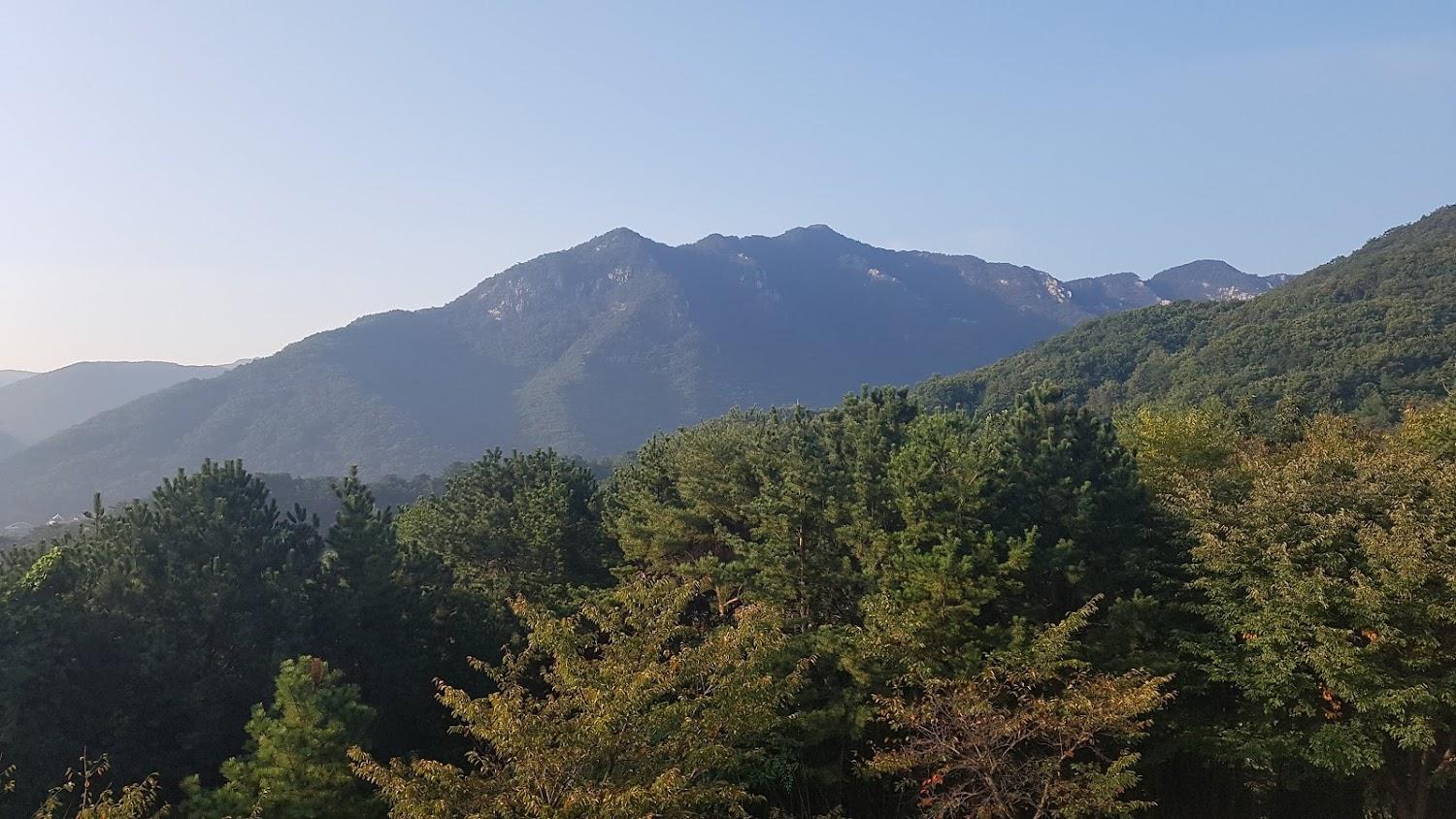 Cover Image for 명작호텔