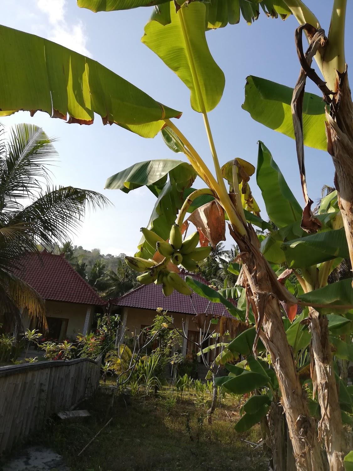 Cover Image for Ceningan Inn