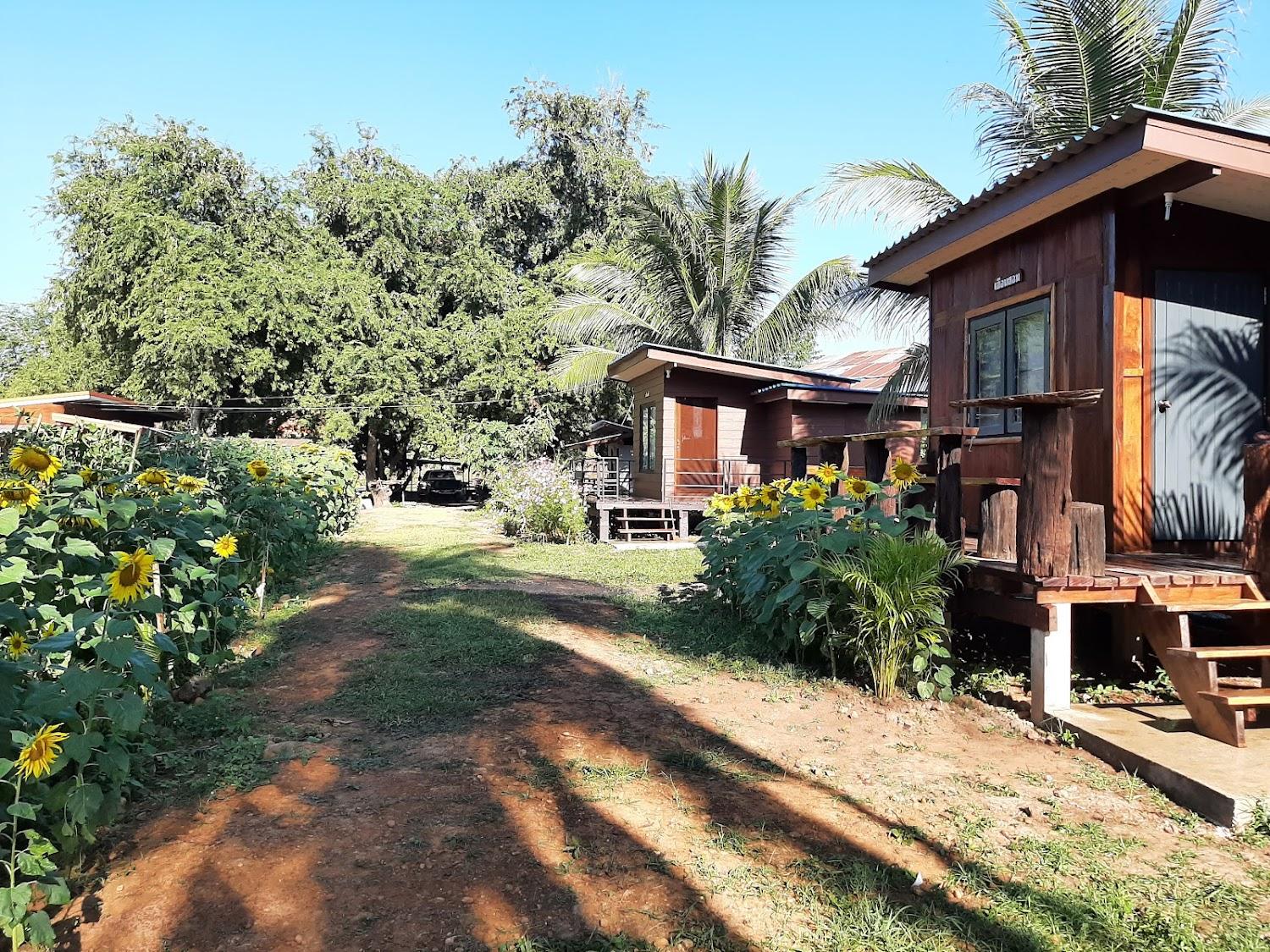 Cover Image for บ้านสวนตาลือ รีสอร์ท
