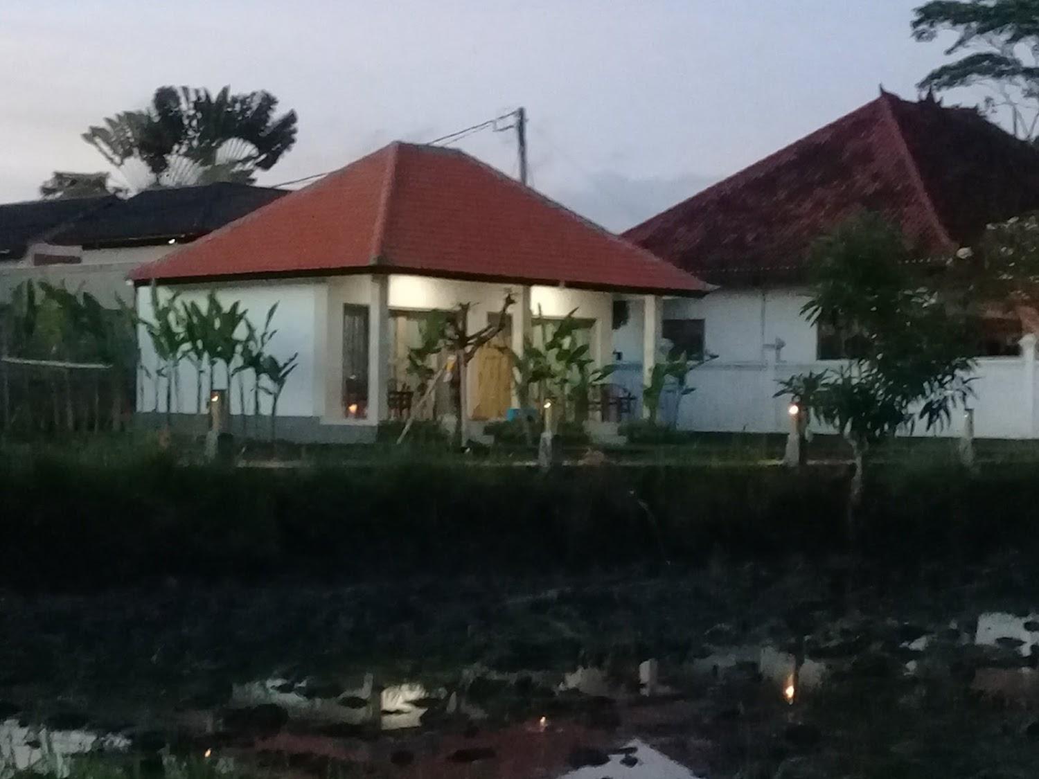 Cover Image for Padi Guest House