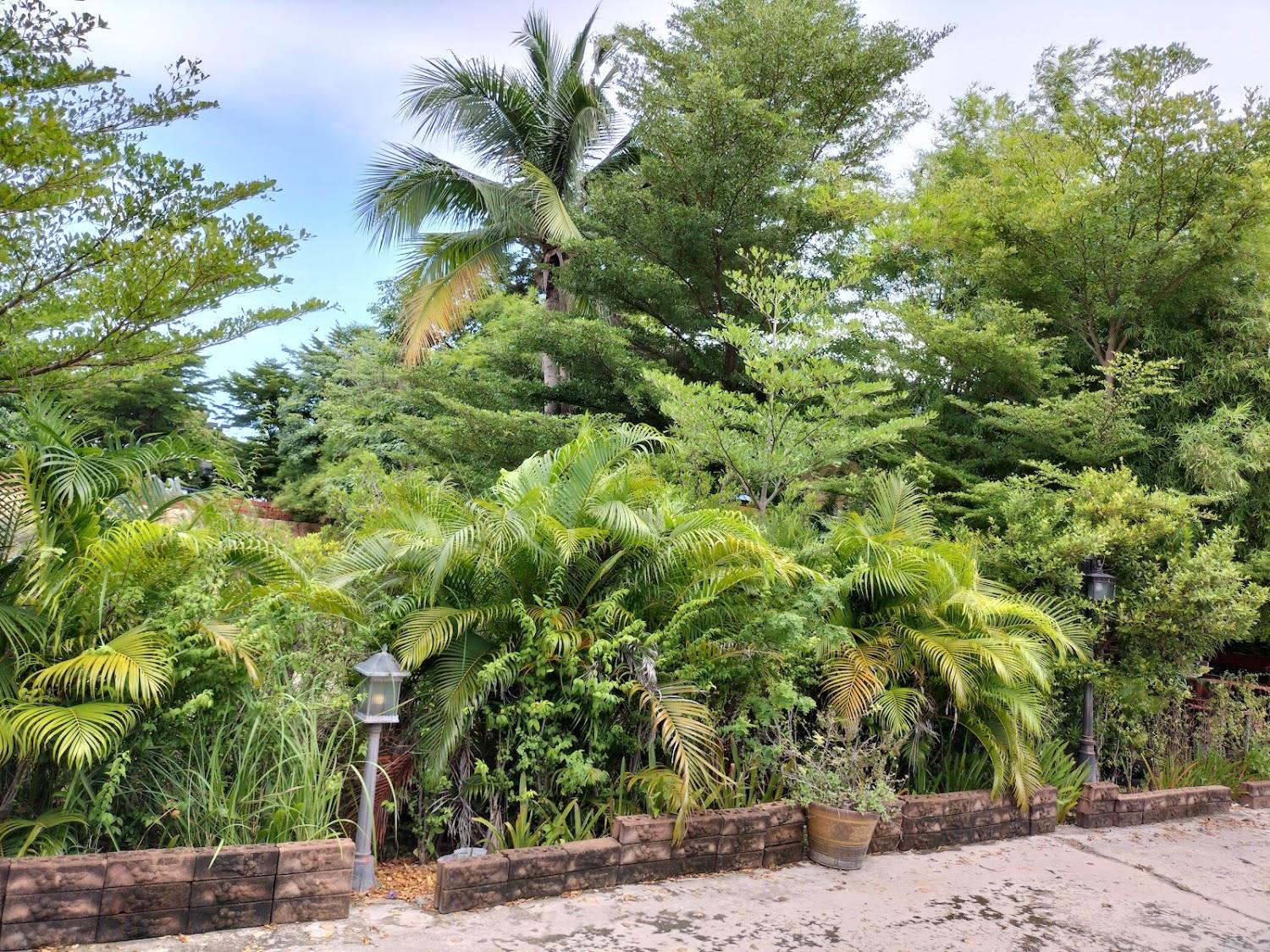 Cover Image for MD Resort
