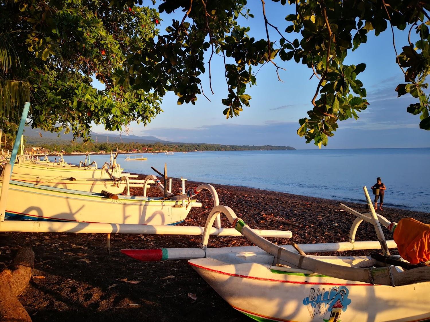 Cover Image for BALI YOGI
