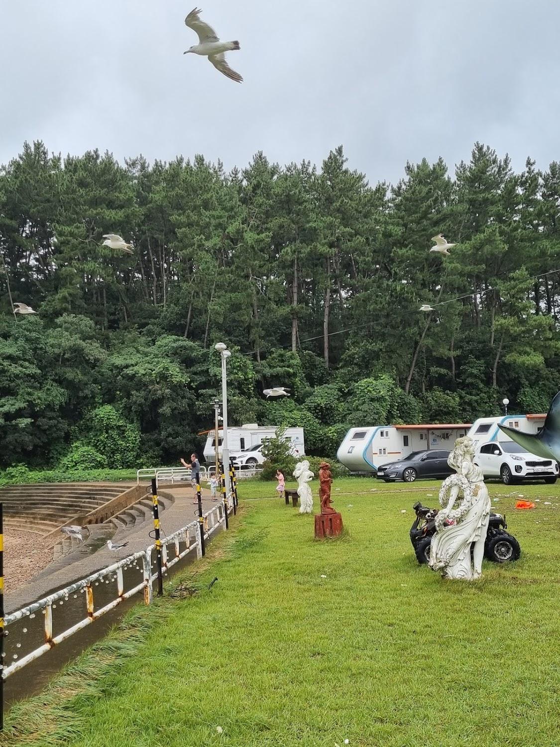 Cover Image for 홀리데이파크 캠핑카라반(몽산포점)