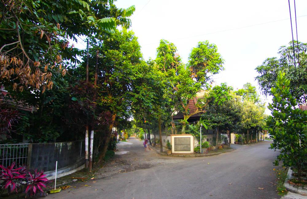 Cover Image for Sava Guest House