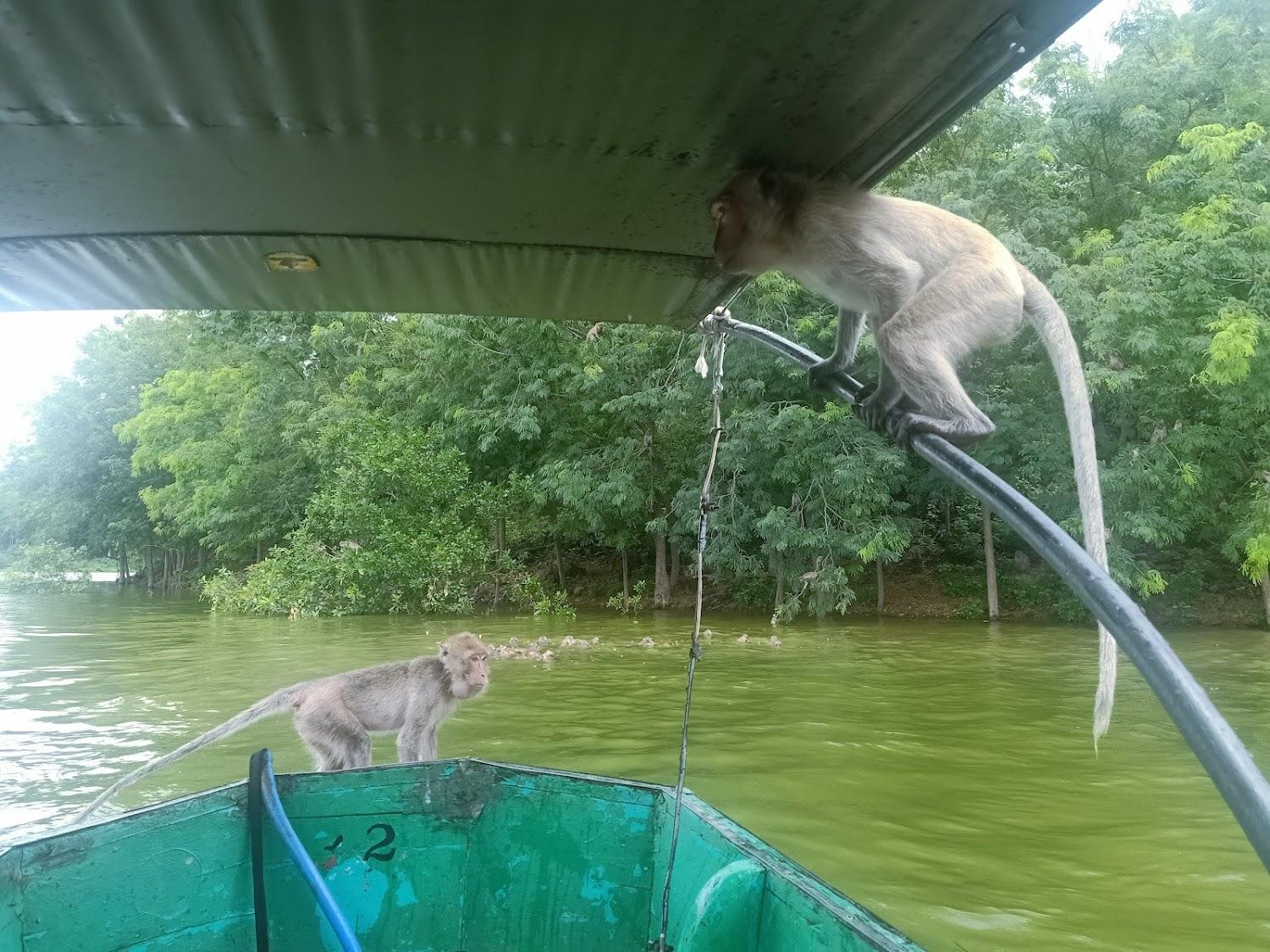 Cover Image for เฟื่องฟ้ารีสอร์ทแก่งกระจาน