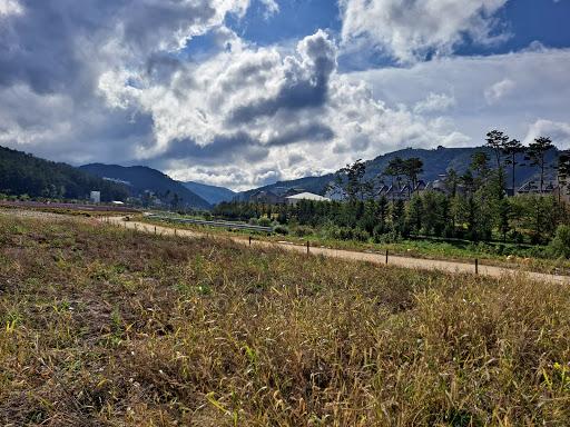 Cover Image for InterContinental Alpensia Pyeongchang Resort