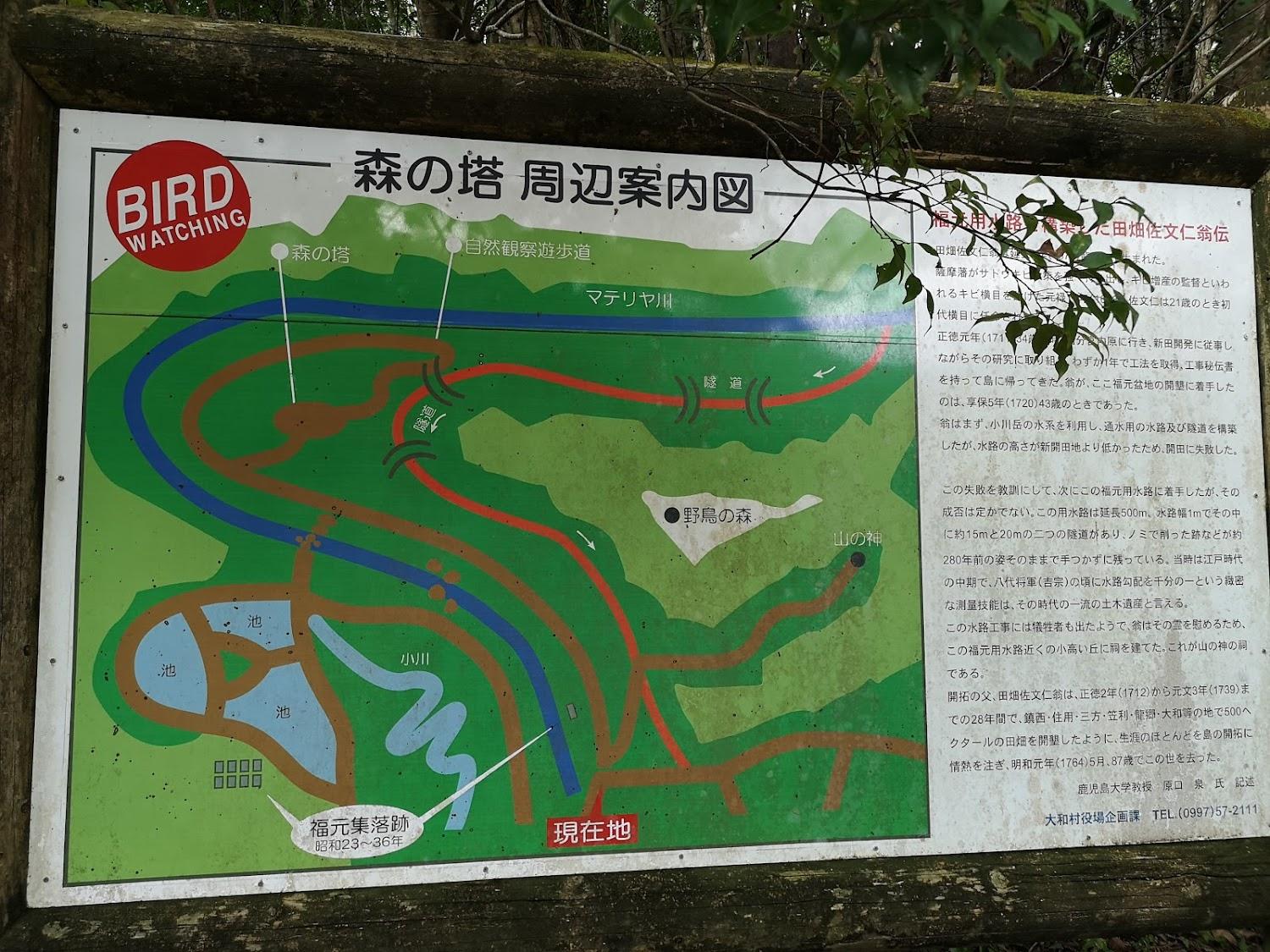 Cover Image for Amami Forest Police Camping Ground