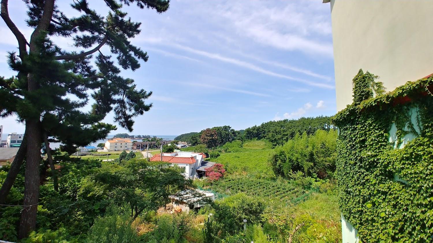 Cover Image for 바닷길풍경