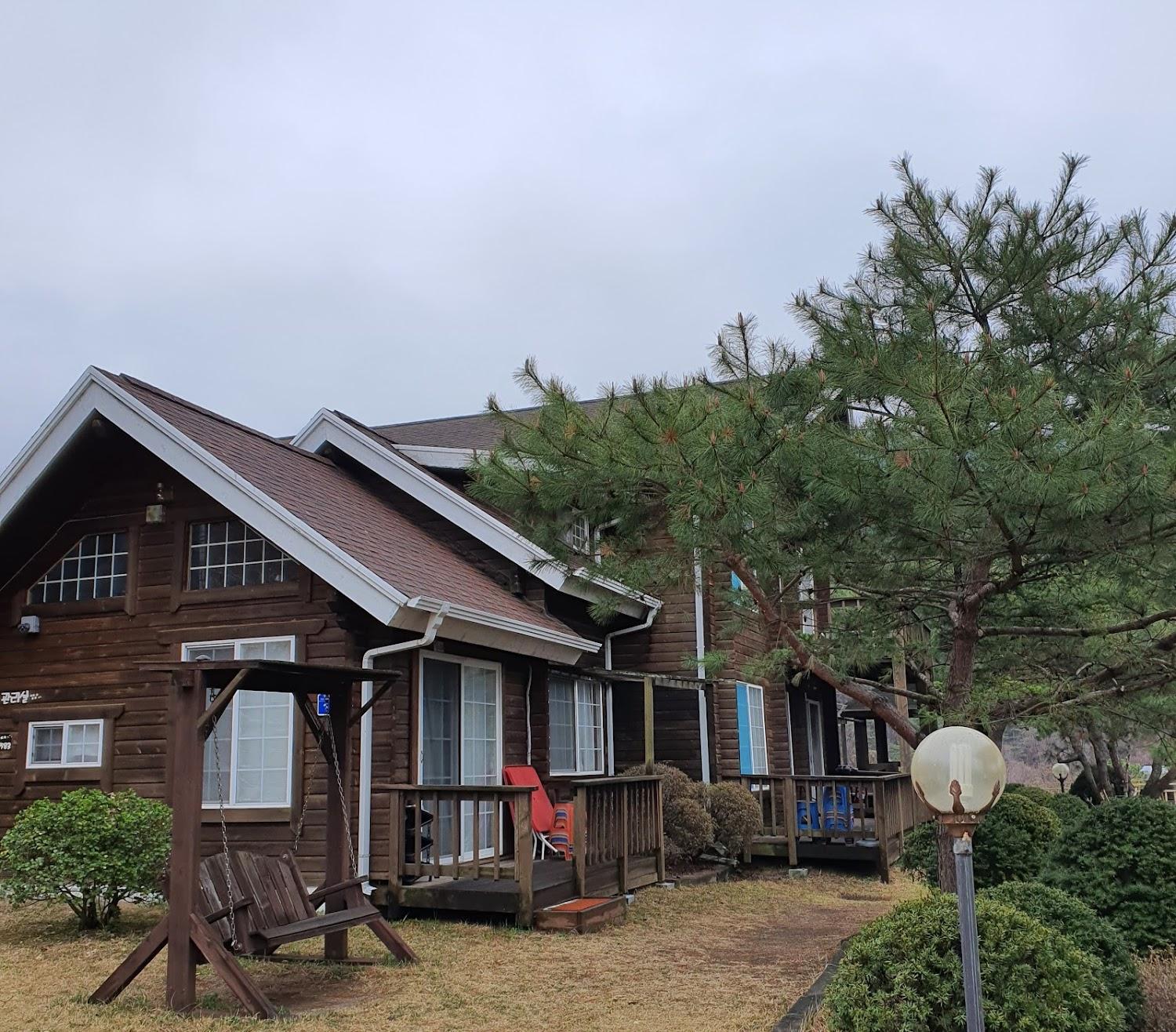 Cover Image for 다인지민박