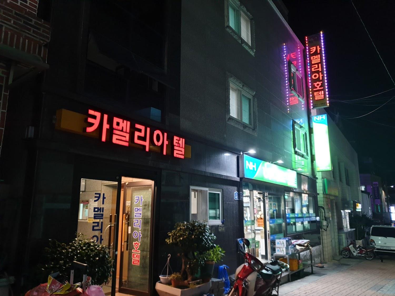 Cover Image for 카멜리아호텔