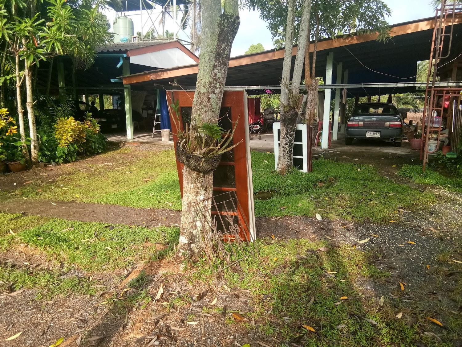 Cover Image for Green Park Resort