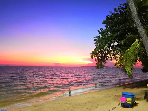 Cover Image for The Jomtien Twelve