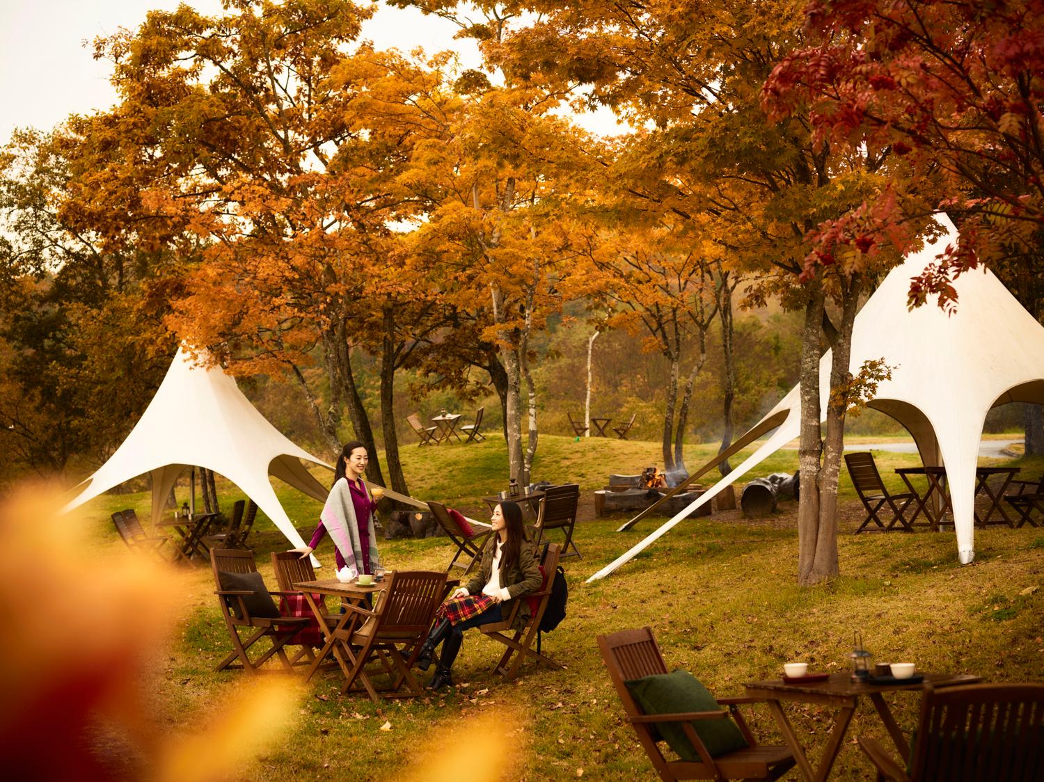 Cover Image for Hoshino Resorts Bandaisan Onsen Hotel