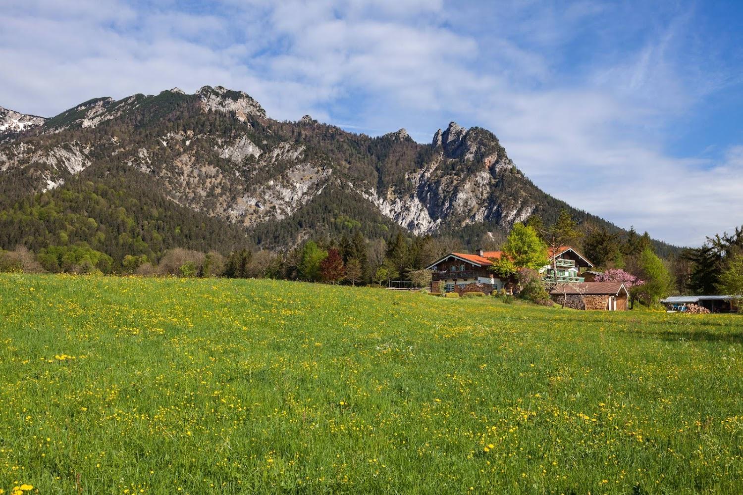 Cover Image for Gästehaus Huber Josef