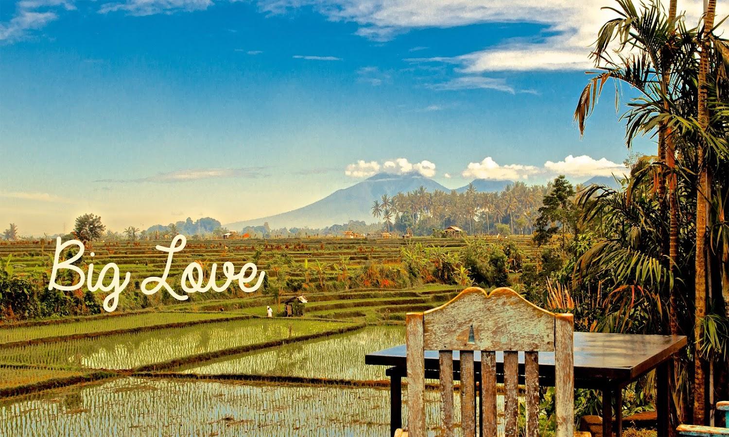 Cover Image for BIG LOVE