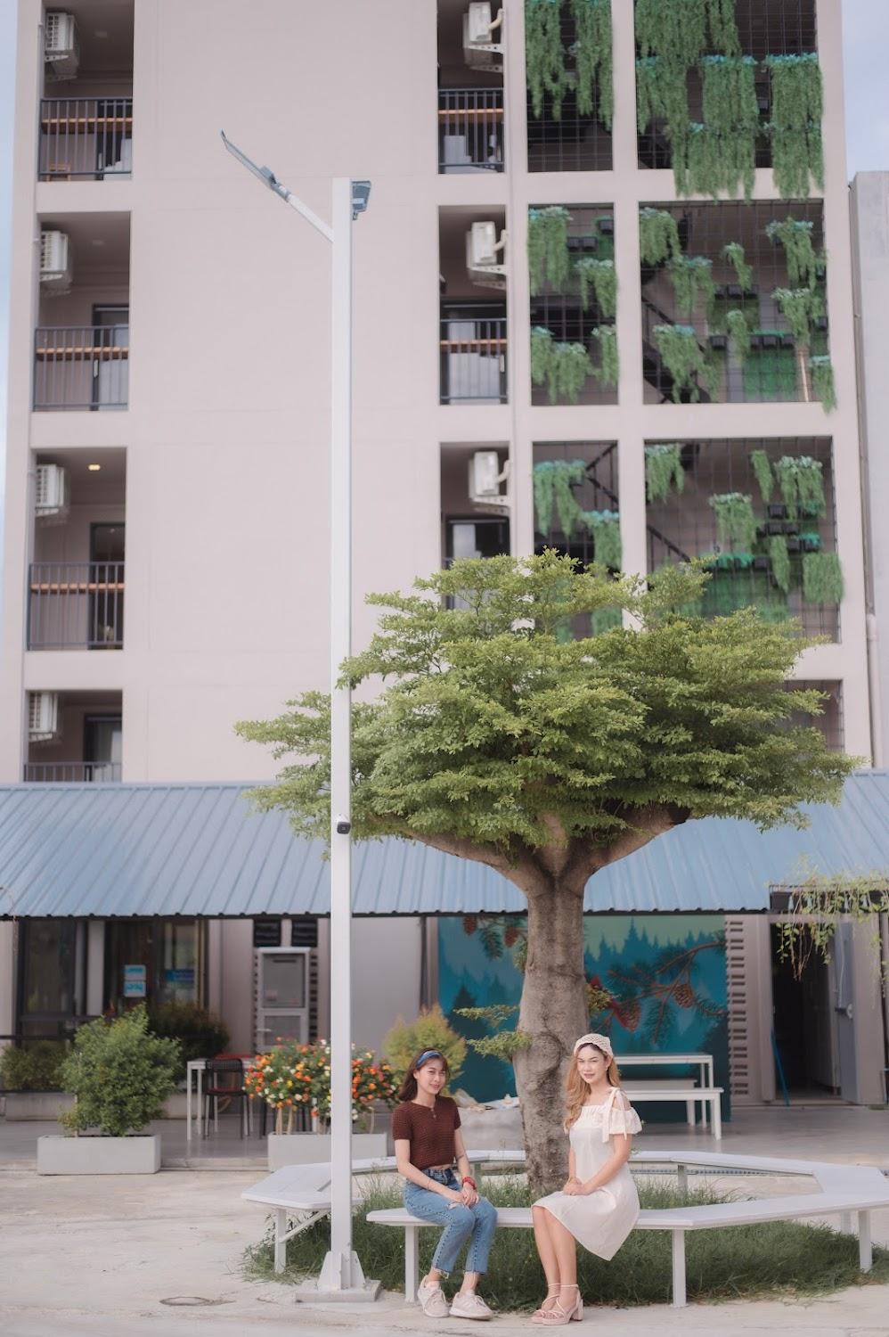 Cover Image for LA PINO HOTEL