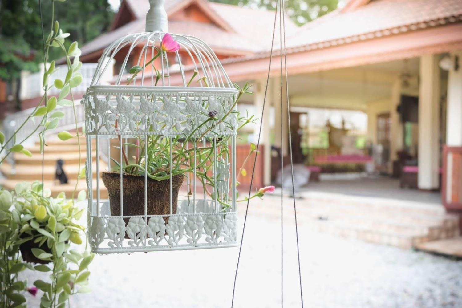 Cover Image for ม่อนม่วนใจ๋