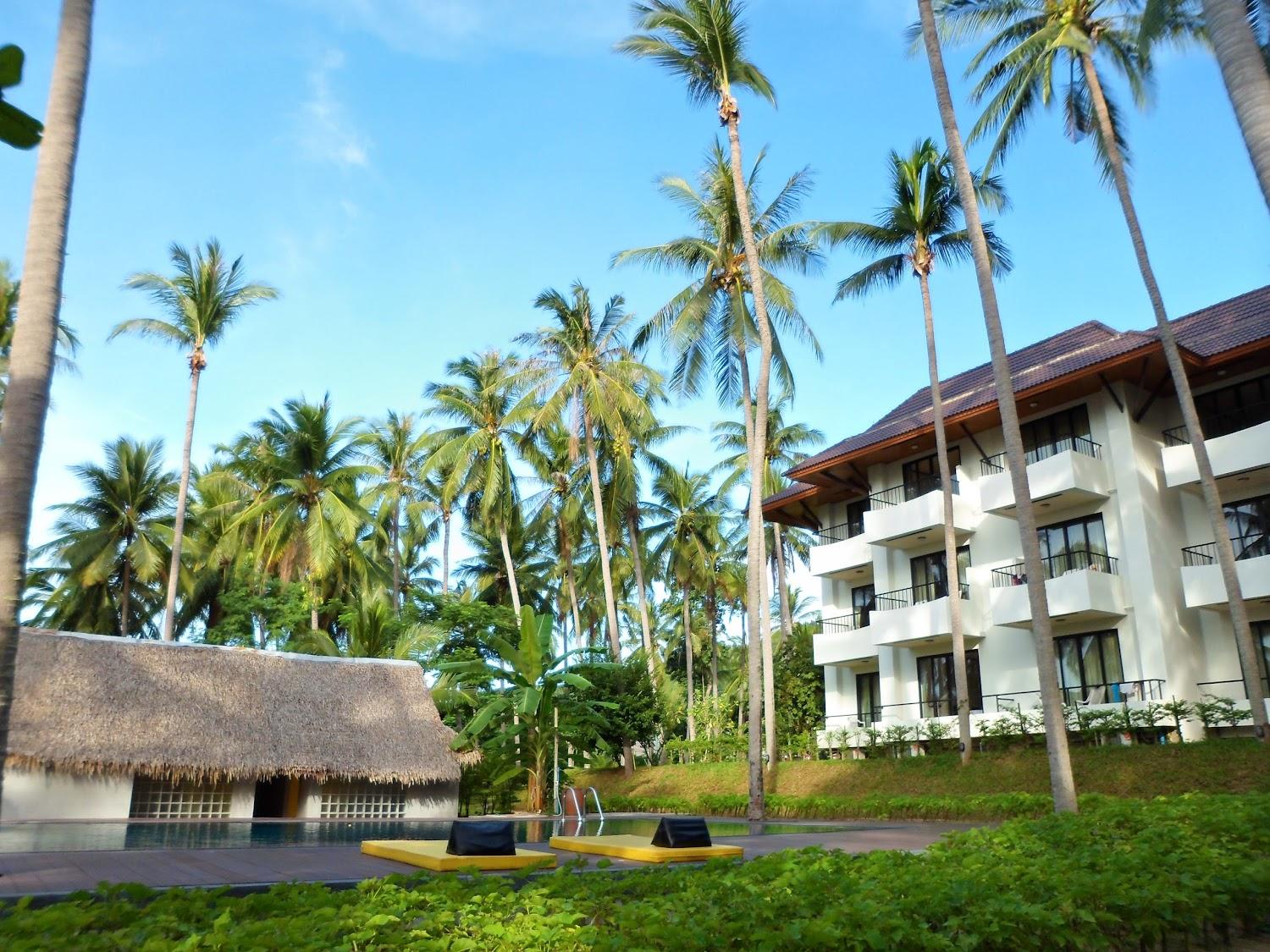 Cover Image for Coconut Beach