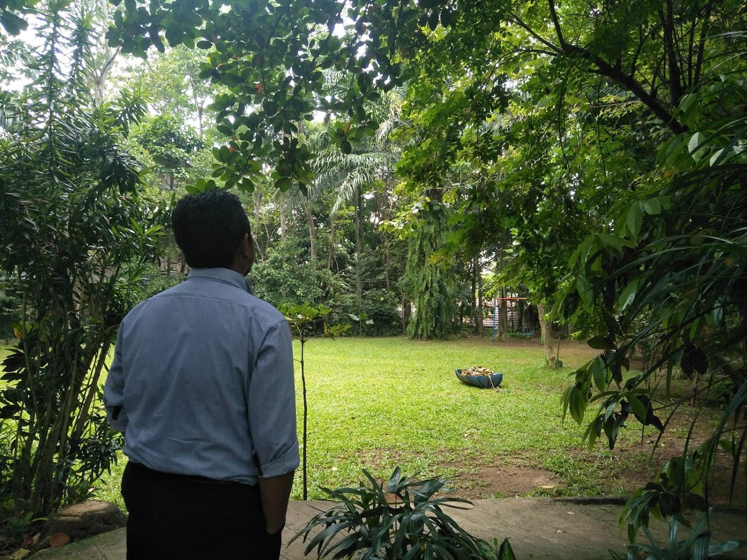 Cover Image for Kampung 99 Pepohonan
