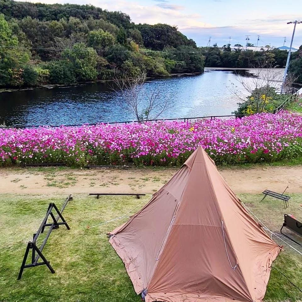 Cover Image for Mount Lake Camping Ground