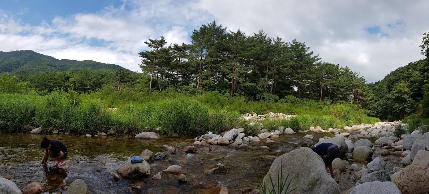 Cover Image for 에덴펜션