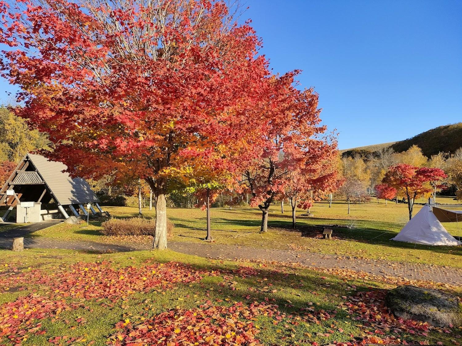 Cover Image for Sahoroko Camping Ground