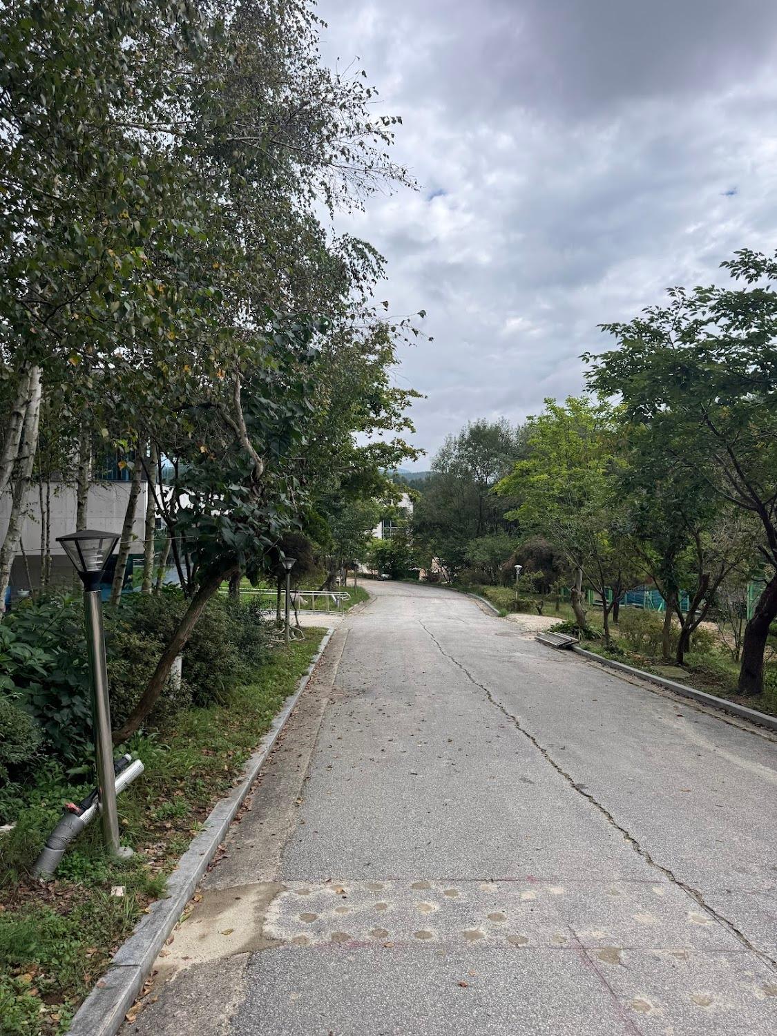 Cover Image for 평창 휴식공장